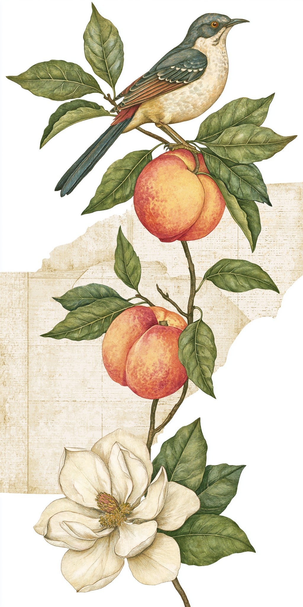 She's Choosing Georgia Earrings | Peach Branch Bird