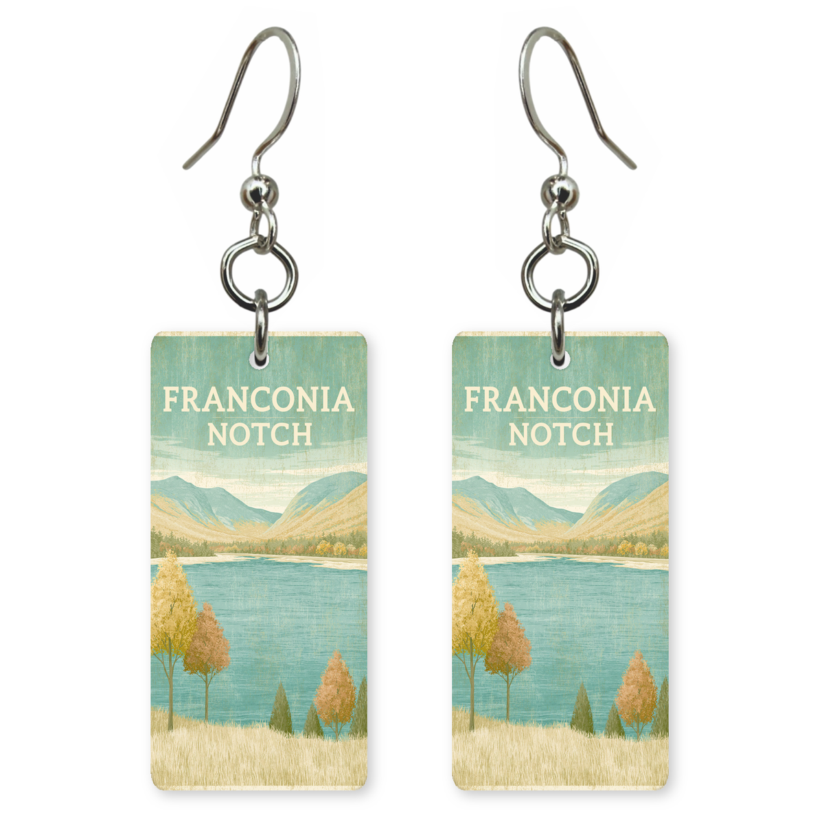 She's Choosing New Hampshire Earrings | Franconia Notch | SC29B5