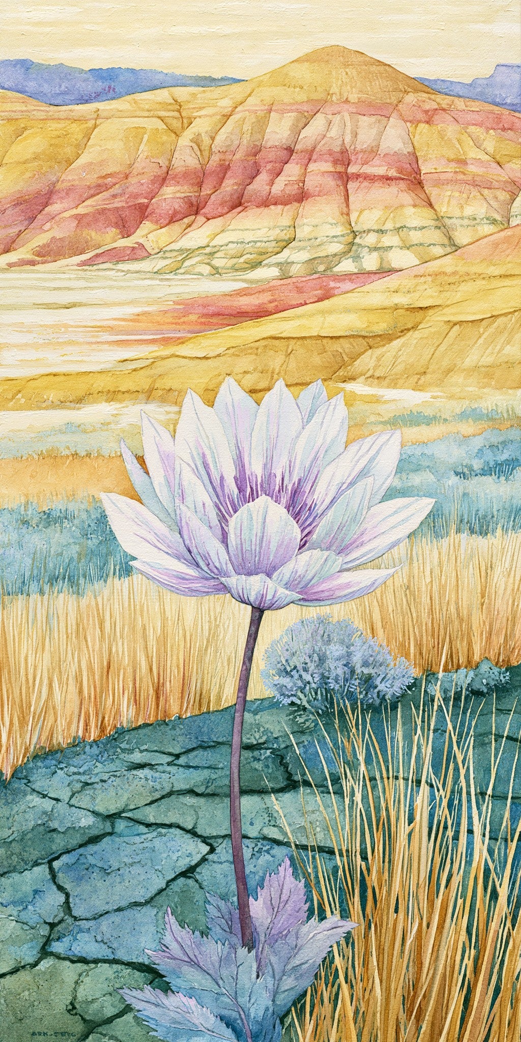 She's Choosing Oregon Earrings | Painted Hills Wildflower Bitterroot